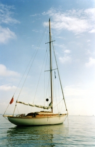Gardenia 2